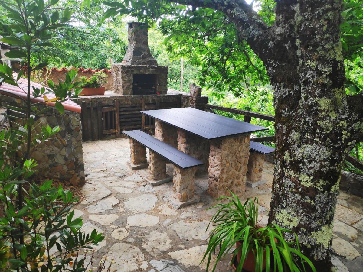 Casa Em Xisto Na Serra Da Lousa, Gondramaz Exterior photo