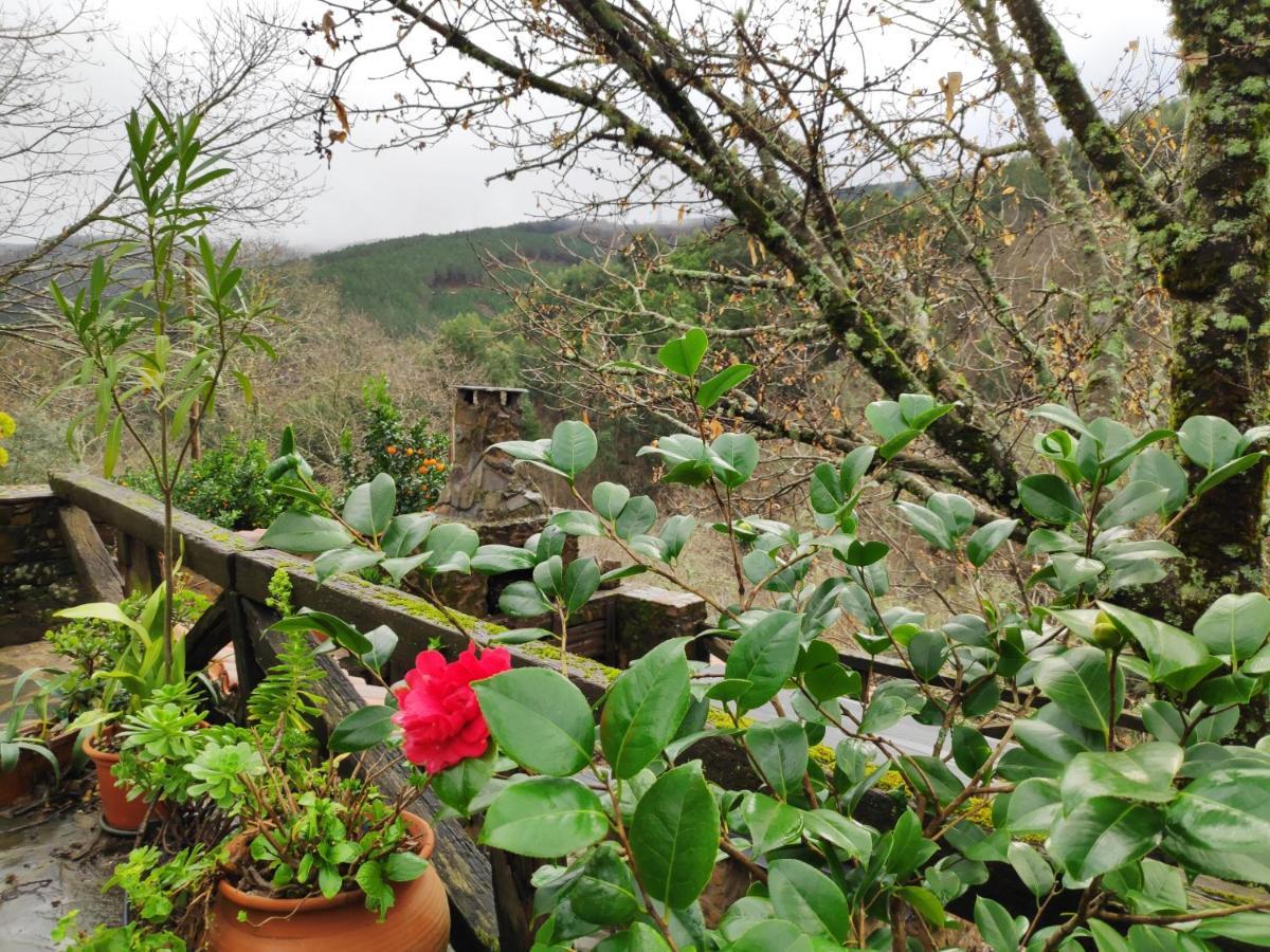 Casa Em Xisto Na Serra Da Lousa, Gondramaz Exterior photo